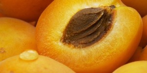 Абрикос – самый «сердечный» фрукт