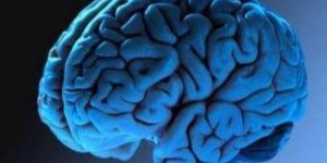 В мозге нашли соединение, которое провоцирует суицид