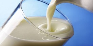 Стакан молока поможет продлить жизнь