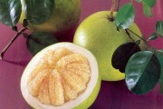 Как выбрать помело