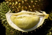 Ученые создали уникальное вино из дуриана