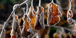 Ерофеев день