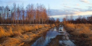 Филиппова канитель