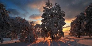 Лонгин Сотник