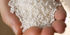 Крупа саго: минимум вкуса – максимум пользы