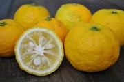 Суперфруктом следующего года станет юзу
