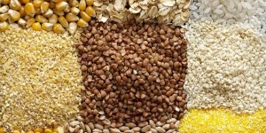 Музеи злаков