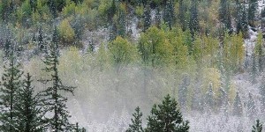 Иванов день