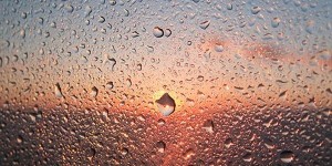 Дмитриев день