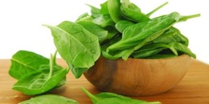 Щавель: кислый, сочный и полезный