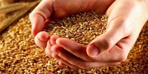 Акиндин и Пигасий