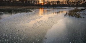 Григорий Зимоуказатель