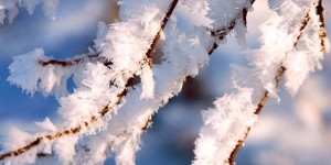 Платон и Роман Зимоуказатели