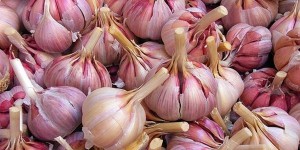 Чеснок сделает детские сухие смеси безопасными