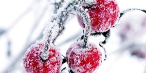 Евстратиев день, Ведьмины посиделки