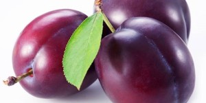 Слива: терпкий вкус здоровья