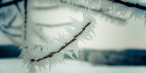 Афанасьев день, Афанасий-ломонос