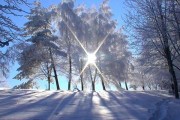 Зосима Пчельник