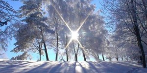 Зосима Пчельник