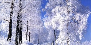 Григорий-Летоуказатель