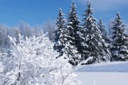 Федосеев день