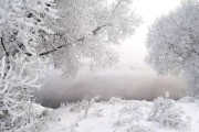 Антон-перезимник, Антонина-половина