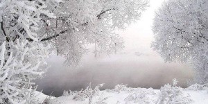 Антон-перезимник, Антонина-половина