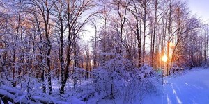 Макарьев день, Макар-весноуказчик