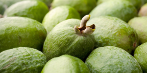 Калорийность фейхоа