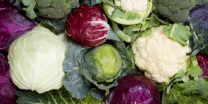 Калорийность капусты