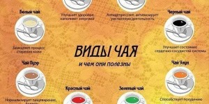 Виды чая: китайская классификация