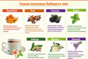 Что добавить в чай: 8 самых полезных продуктов