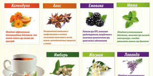 Что добавить в чай: 8 самых полезных продуктов