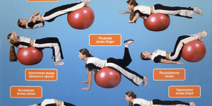 Упражнения на фитболе
