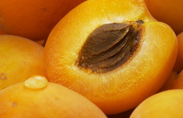 Абрикос – самый «сердечный» фрукт