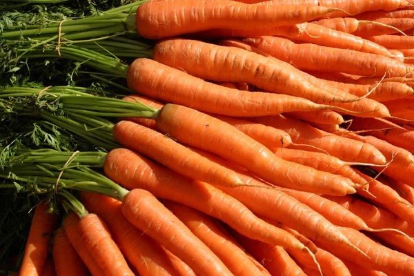 Оранжевые овощи и фрукты помогут предотвратить диабет